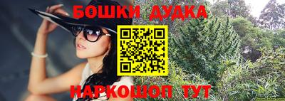 МДПВ Лесосибирск